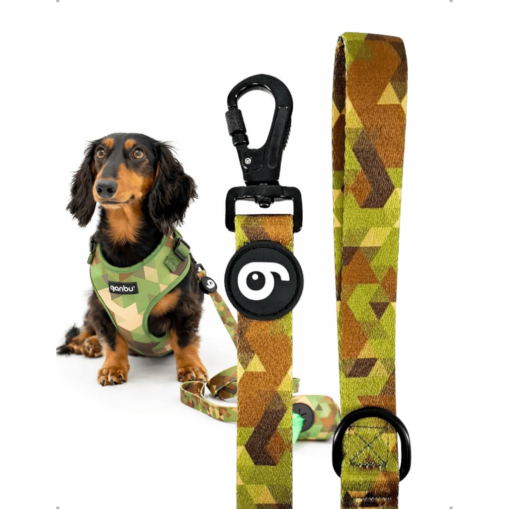 Guia Pet Paw Design Militar Ganbu – Passeios Confortáveis e seguros, Resistência e Estilo Para Cães