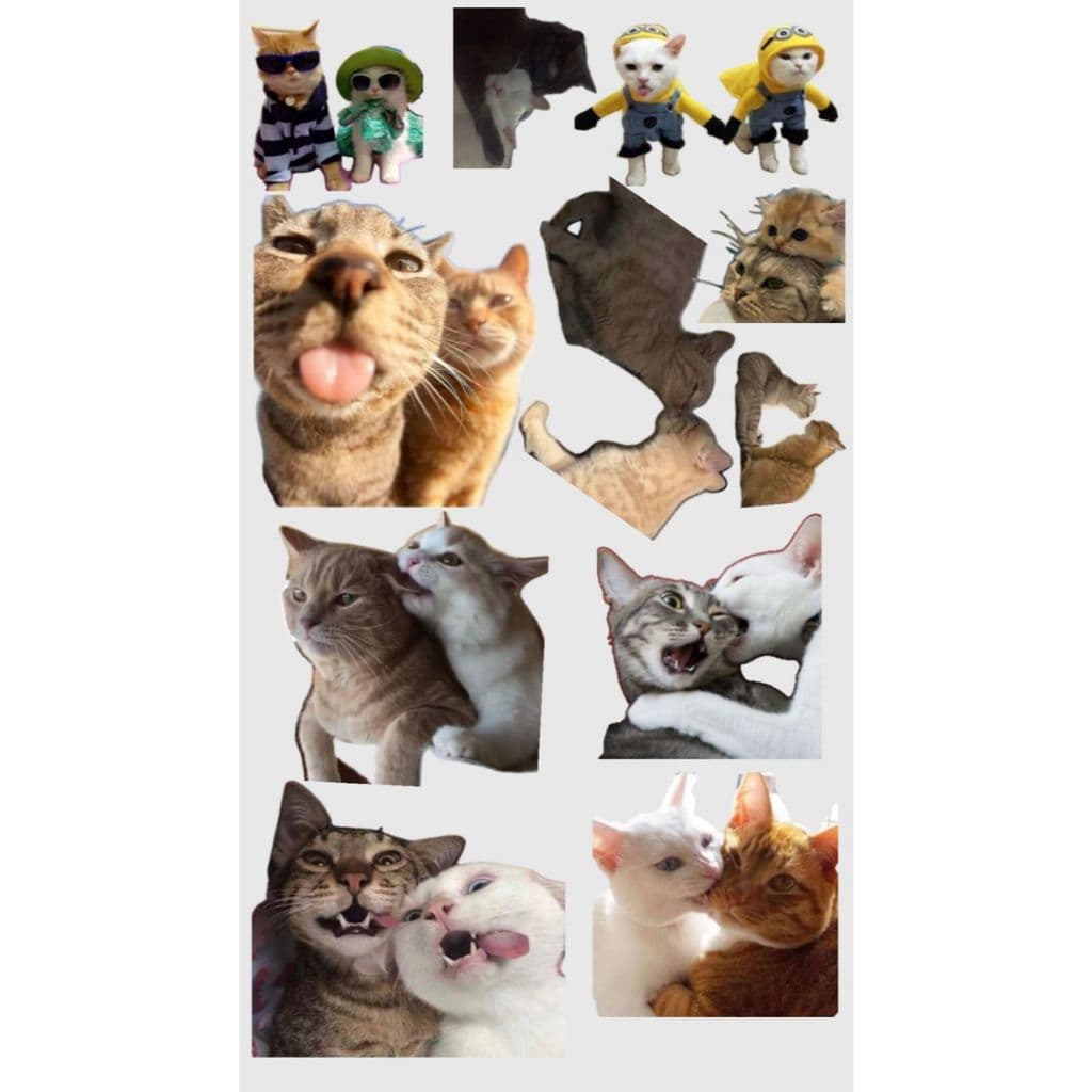 Pack Stickers meme gatinhos figurinha Wpp