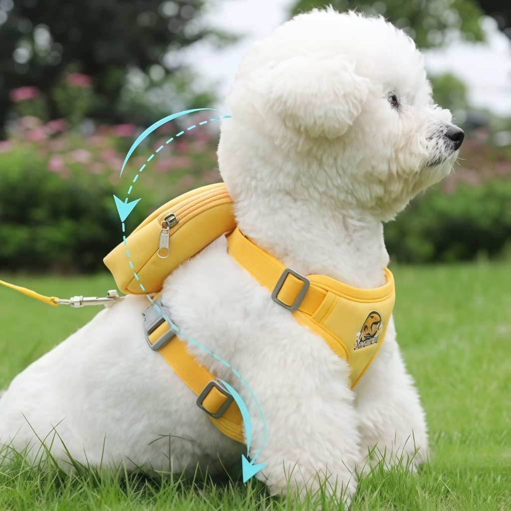 Peitoral Coleira Com Guia e Bolsa Removível Para Cachorro Pet Cães Pequenos E Médios Gato Viagem-Y12