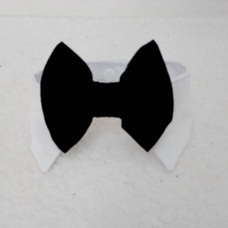 roupa cachorro colarinho, gola gatos pet