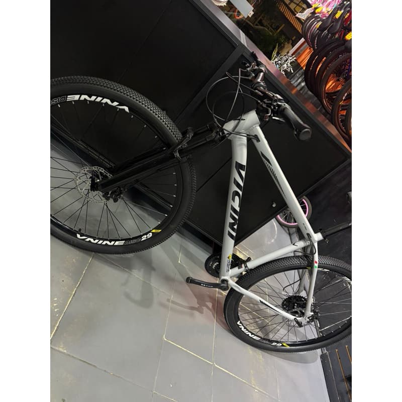 Bicicleta Aro 29 Vicini Alumínio Completa Shimano 21v Freio Hidráulico MT200 Suspensão Trava MTB