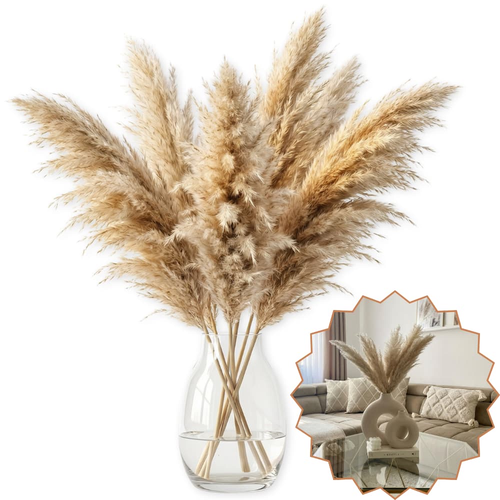 Kit 10 Plumas Natural Seco Capim dos Pampas Decorativo