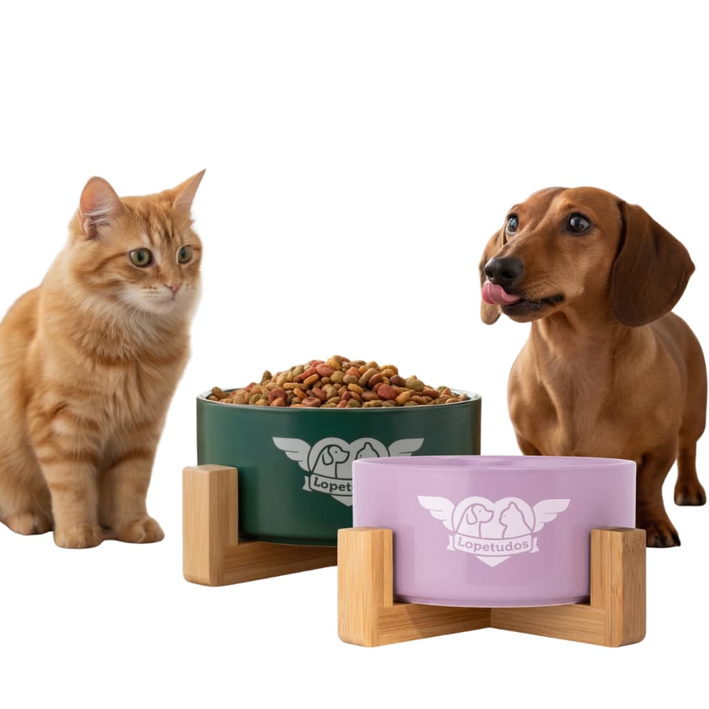Comedouro Pet Cerâmica PREMIUM 750ml Comedouro Cachorro Porcelana Comedouro Gato Pote Para Gatos