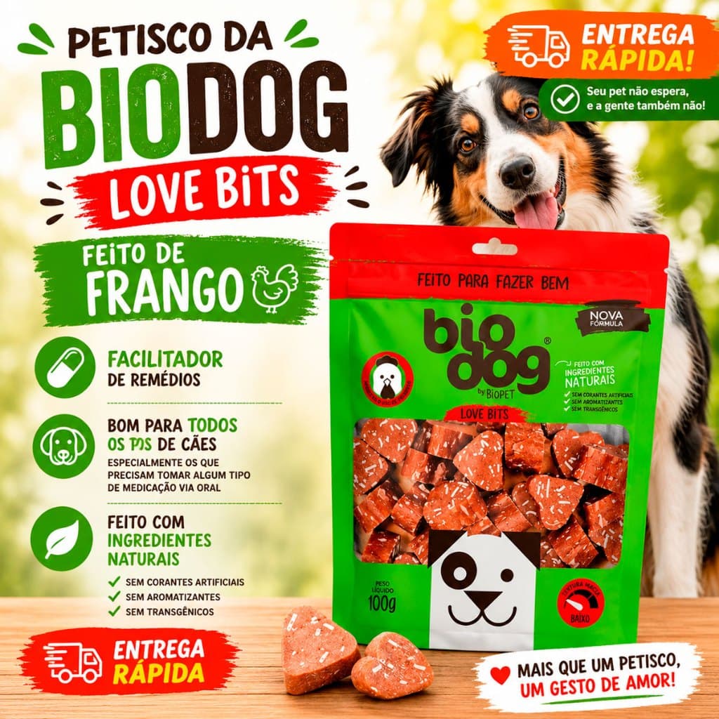 Petisco Mordedor Biodog Love Bits Bifinho 100g Biscoito Cães