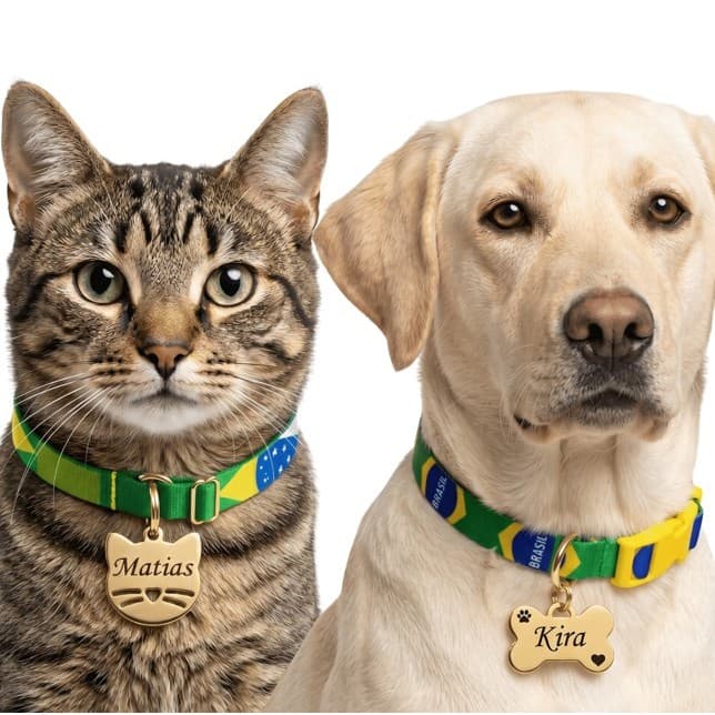Coleira do Brasil Para Gato e cachorro Identificação pingente personalizado