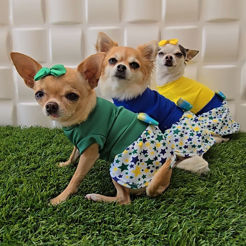 Vestido pet para cachorro e gato Brasil