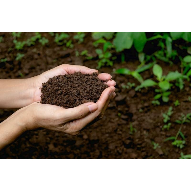 Terra Vegetal Adubada Premium 12kg Rica em Nutrientes para Jardim e Horta