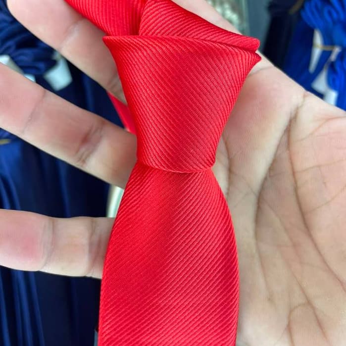 🔥Gravatas Slim Masculina Noivo Premium Várias Cores Para Padrinhos Evento Social🔥