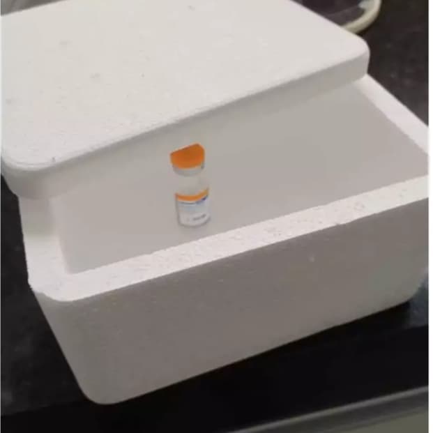 kit 20 caixas térmica de isopor 250ml.