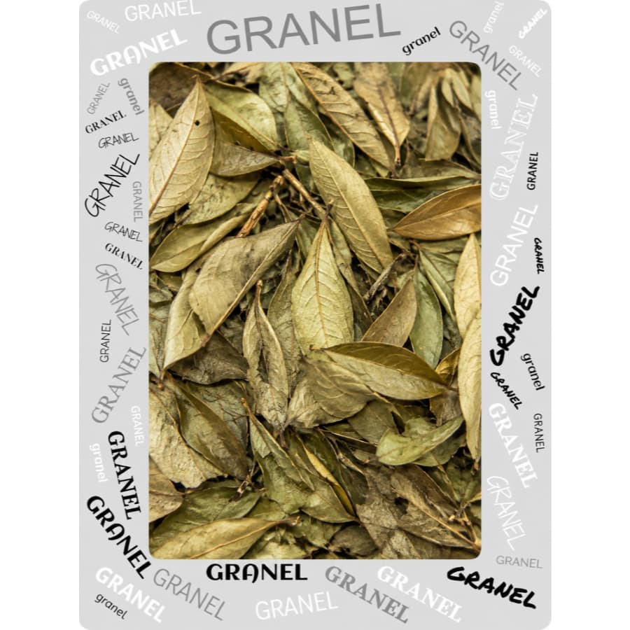 Graviola Folhas para Chá 100g/500g/1kg - Alta Qualidade