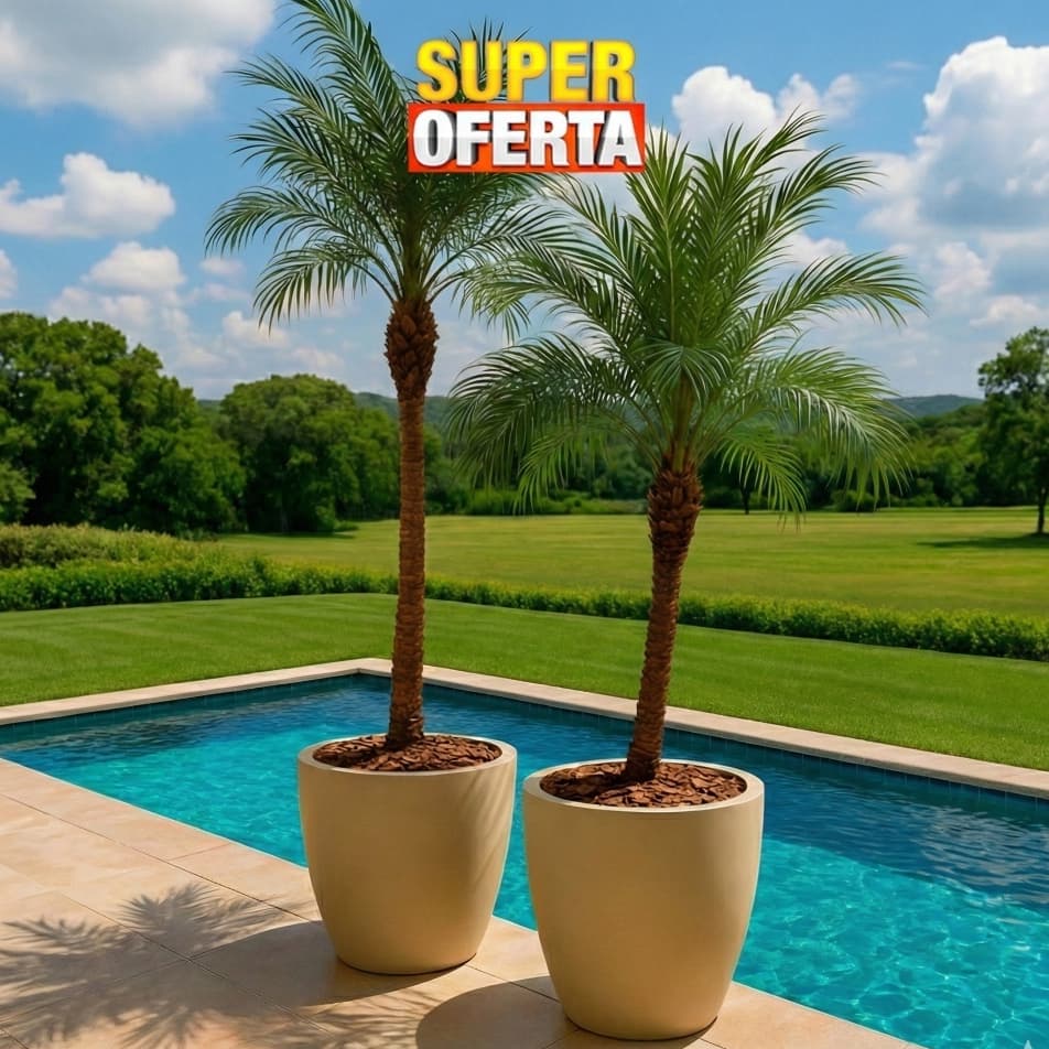 Kit 2 Vasos de polietileno para arvores jabuticabeira Palmeiras plantas flor frutíferas Bojo Escovado GRANDE