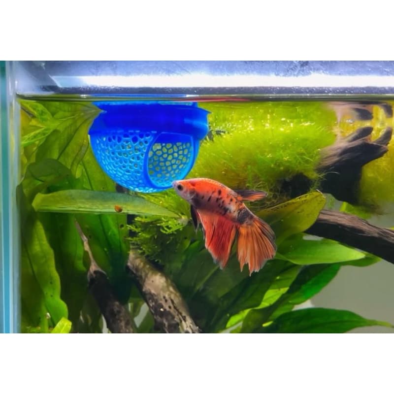 Esconderijo Flutuante para Peixes Betta Toca para Aquário Cama Folha Descanso Aquarismo Decoração