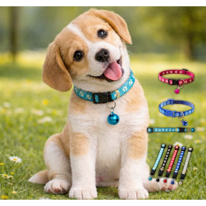 Coleira para Cães e Gatos com Guizo – Estampa Patinhas, Ajustável e Confortável