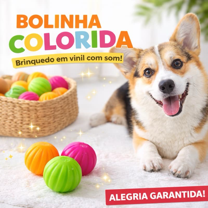 Bolinha Bola Para Cachorro Pet Sensorial Anti Estresse Colorida - Escolha seu Kit