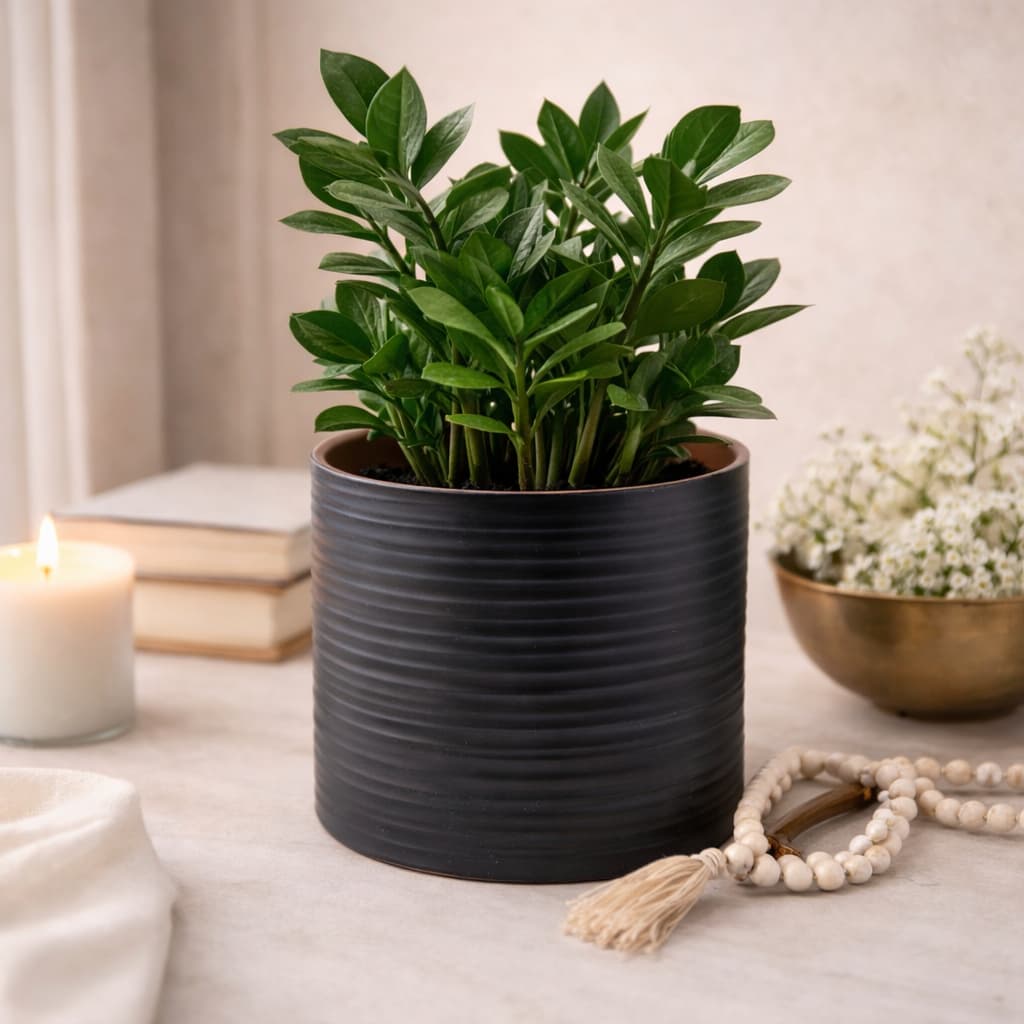 Vaso decorativo em Ceramica Vaso Para flores Vaso em Cerâmica CD06520A1