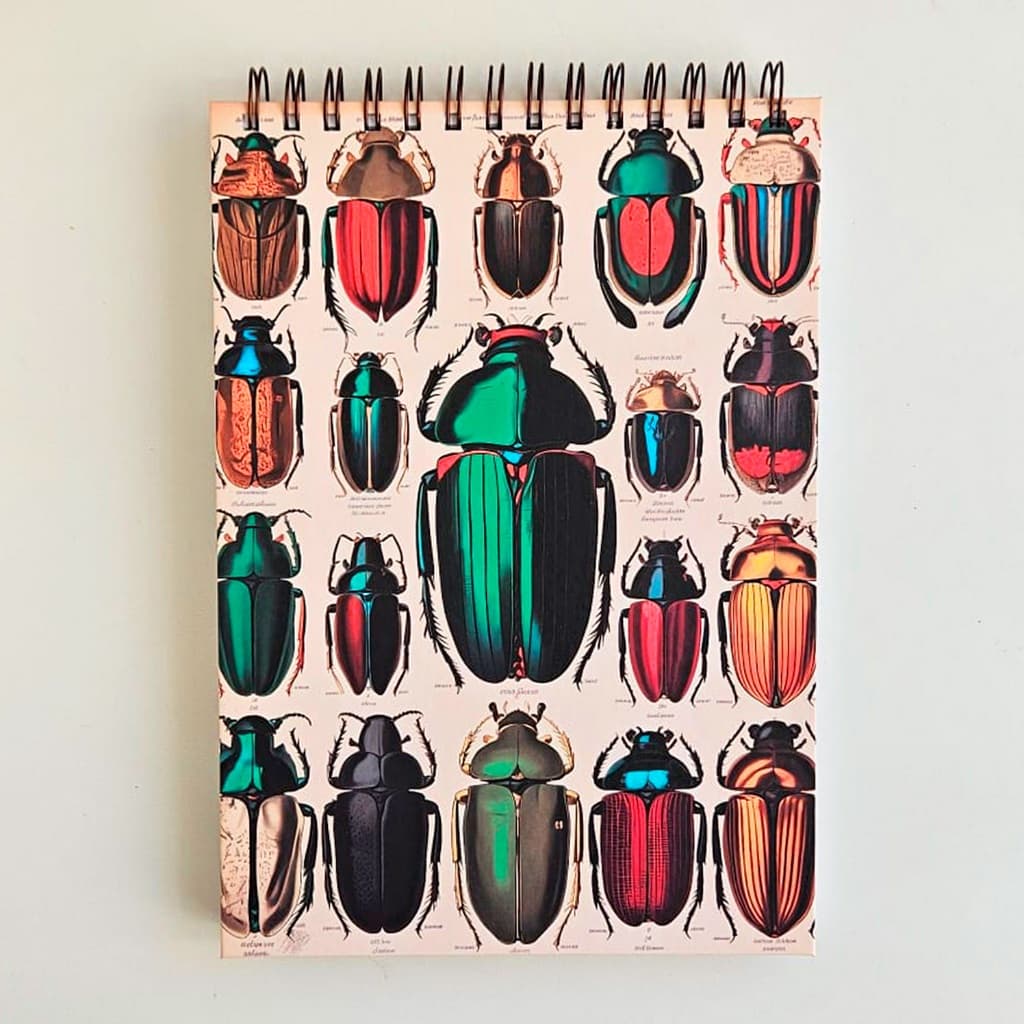 Caderno Sketchbook Desenho e Aquarela A4 27x19cm - 120g, 240g, 300g Besouros Vintage
