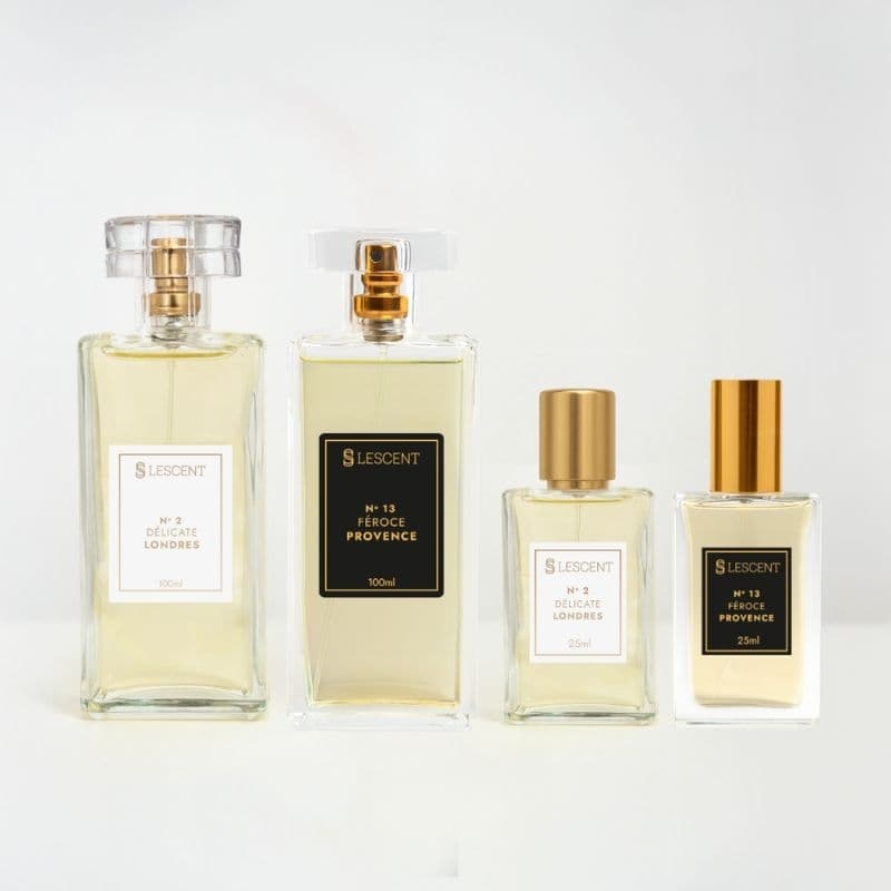 Kit Quarteto Unissex Premium Best Seller aroma refinado assinatura olfativa acessível Alta Fixação Perfumes 100ml e 25ml
