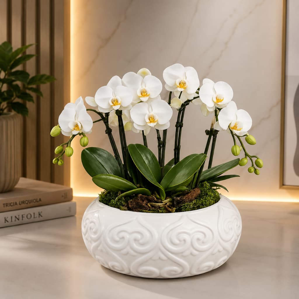 Equibana Redonda Decorativa Cerâmica Branca Centro de Mesa Orquídea Escritório Sala Lavabo luxo não acompanha flores