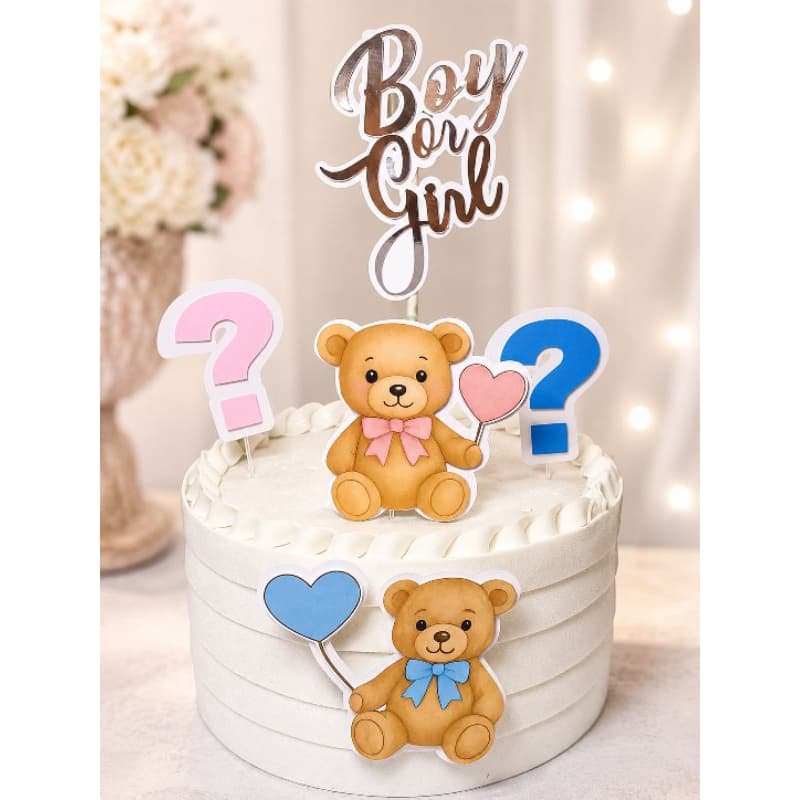 Cake Topper Chá Revelação Menino ou Menina, Boy or Girl | Pronto para Uso