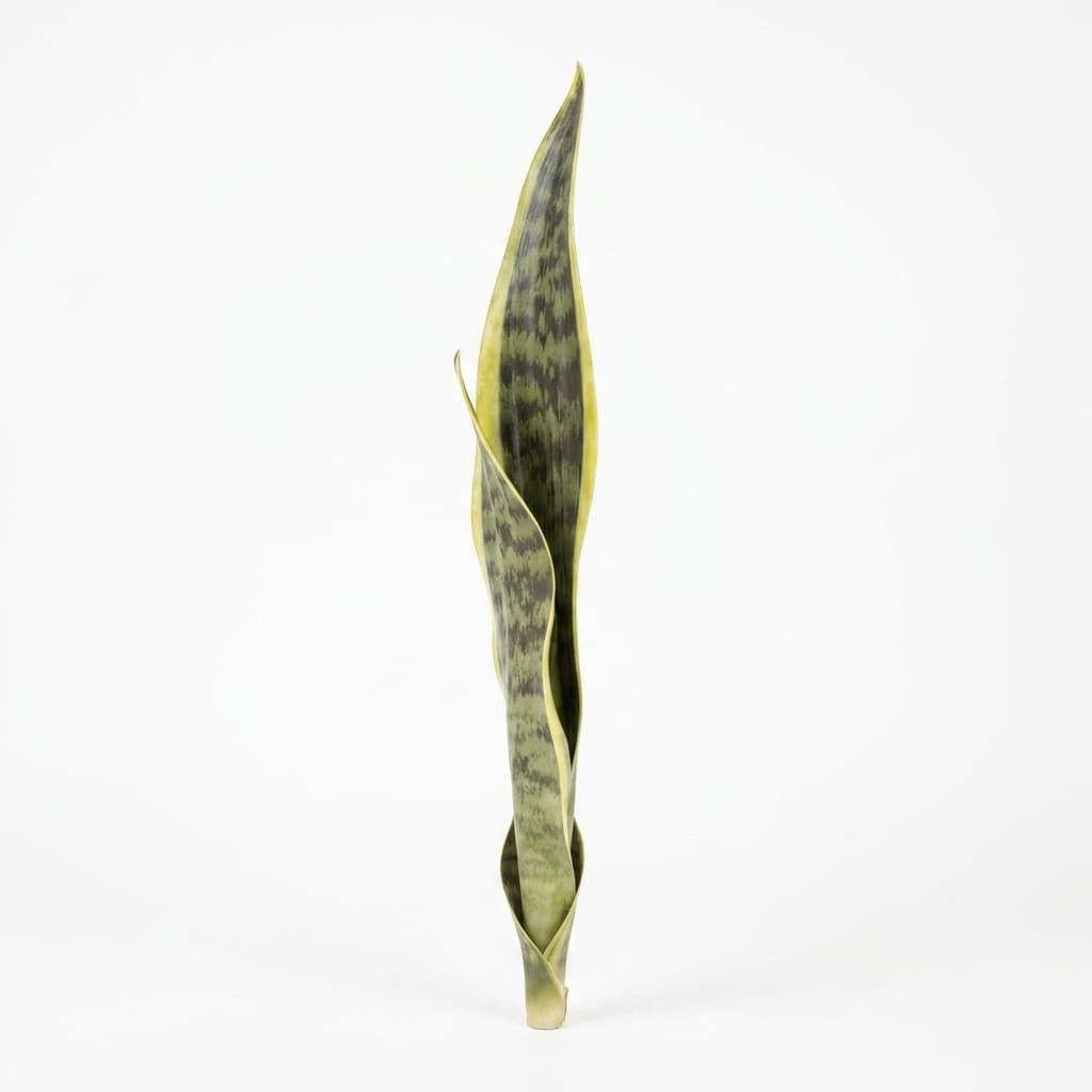 Planta Espada São Jorge Toque Real 42cm Decorativa