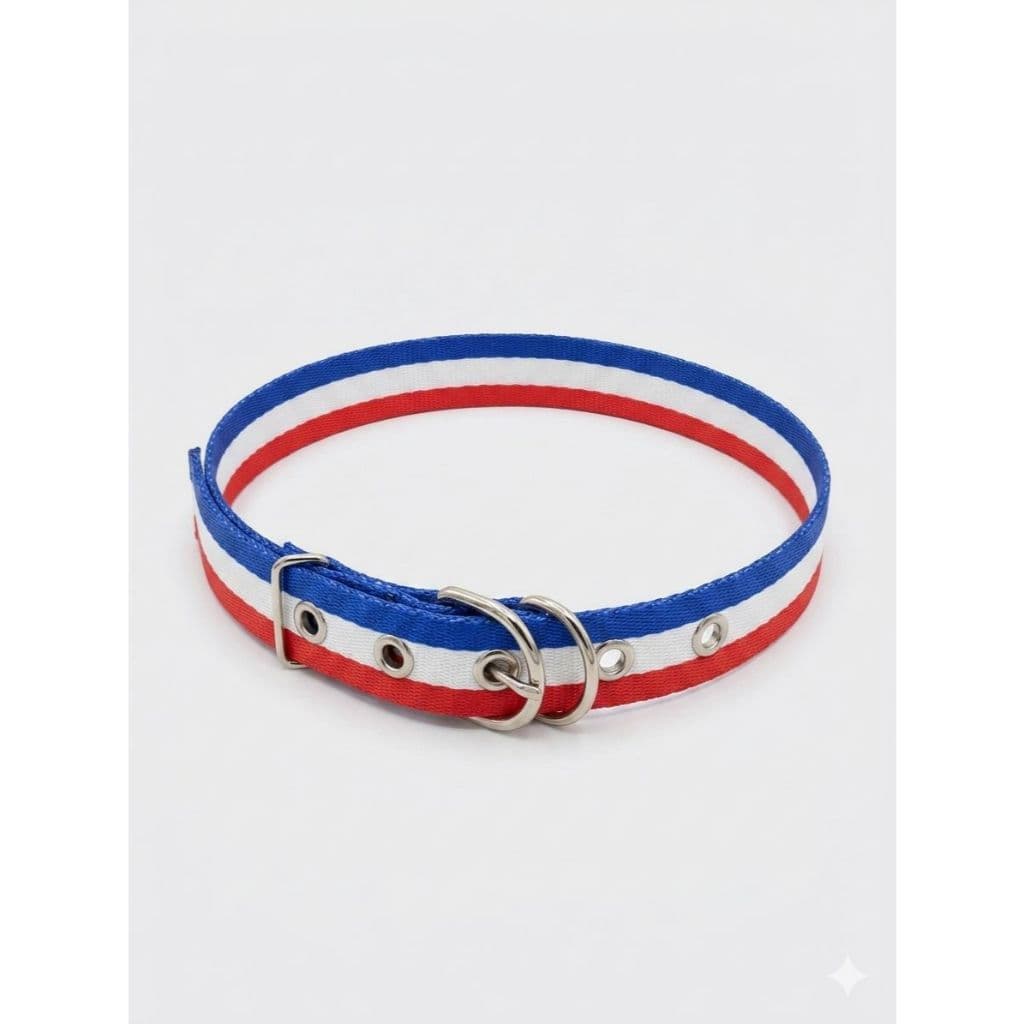 Coleira Para Cachorro Porte Médio com Fivela Ajustável e Resistente (fita de 20mm)