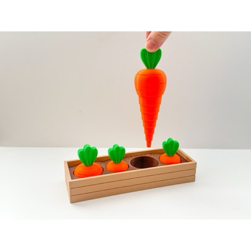 Brinquedo Canteiro de Cenouras | Horta Sensorial