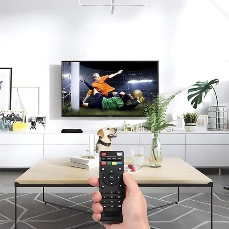 CONTROLE TV BOX HMASTON HT-P43/LELONG LE-7490-1
