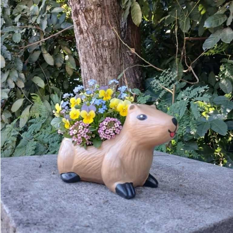 Vaso Vasinho Cachopo Cachepot  Capivara 13x19x9cm para suculentas promoção mais vendido