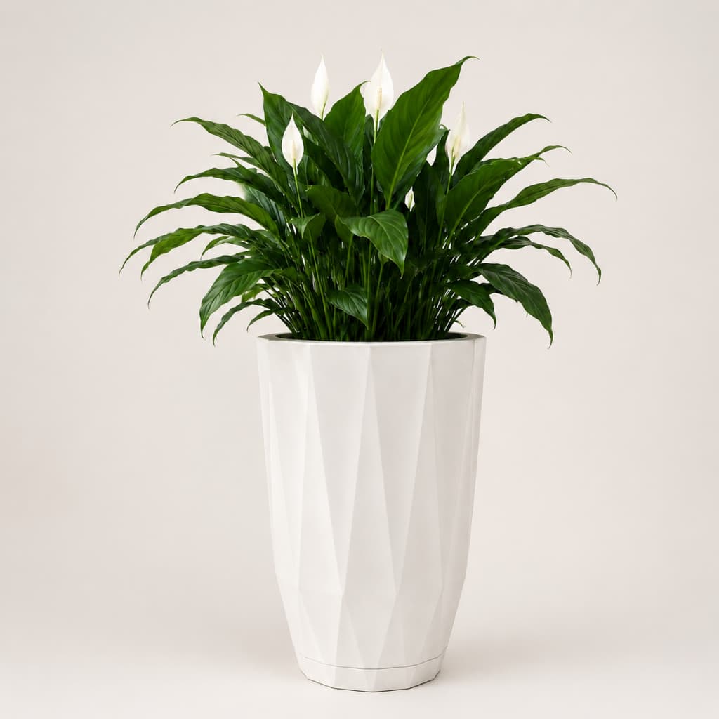 Vaso De Plantas Coluna Polietileno Flores Decorativo Com Prato Casa Sala
