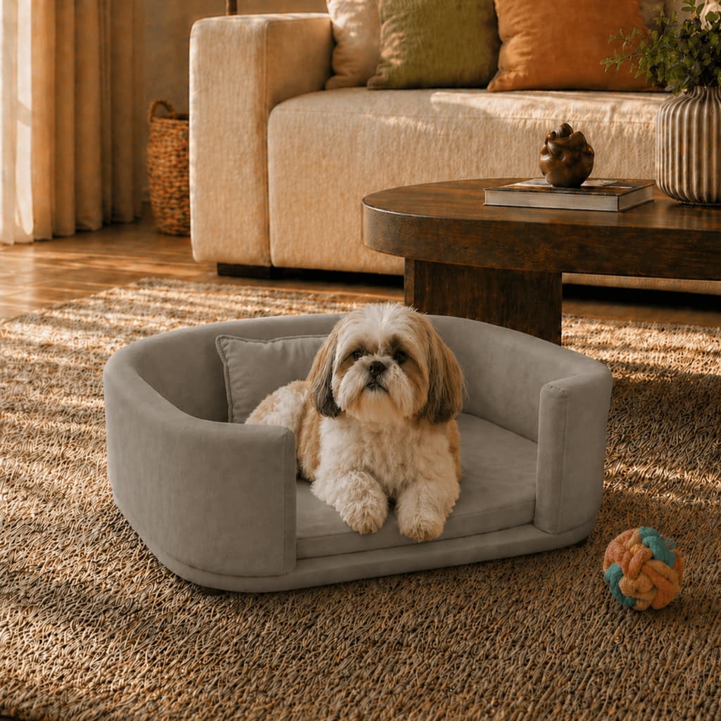 Caminha Pet Lola Veludo Cachorro Gato Pequeno Porte Sofá Pet Estofado com Almofada Assento Acolchoado Liberty Móveis