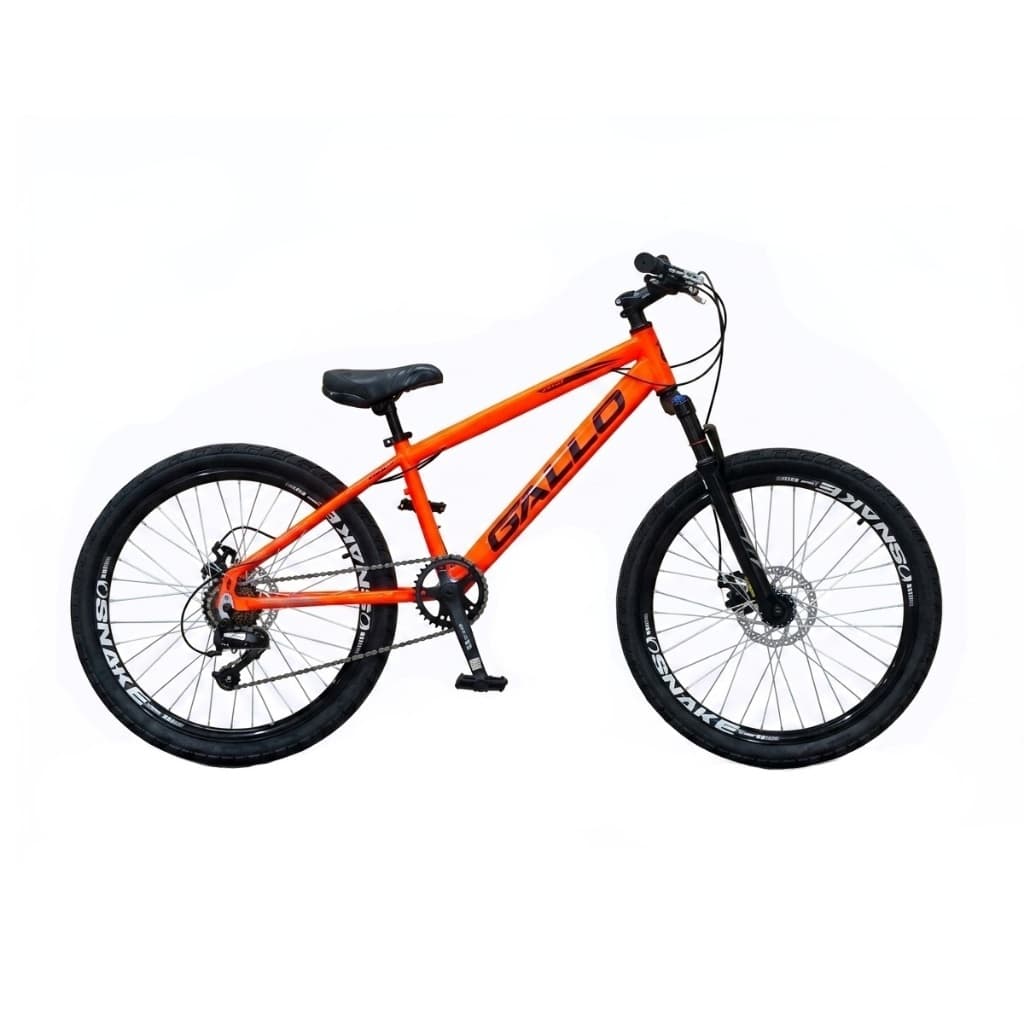 Bicicleta Aro 24 Alumínio 7v Suspensão Freio A Disco Gallo