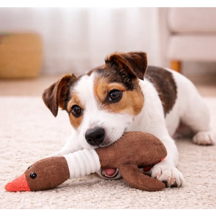 Mordedor Interativo para Cachorros em Formato de Pato – Resistente, Macio e Divertido (30cm)
