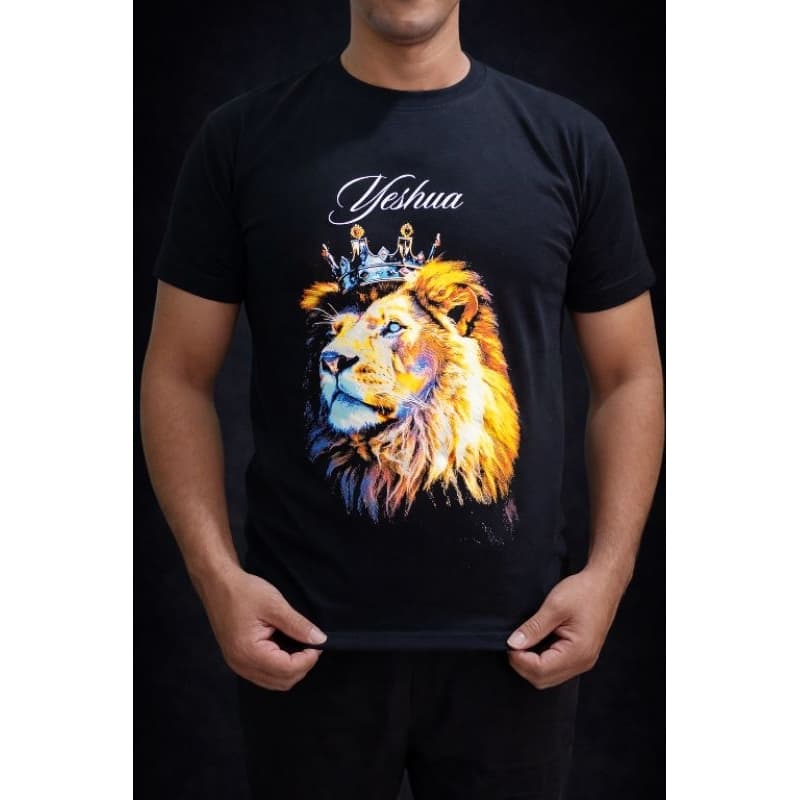 camiseta preta com estampa, camisa masculina evangélica, camisa evangélica de leão.