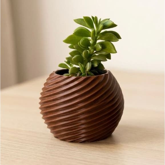 Vaso Decorativo Moderno em Espiral para Cactos e Suculentas – Design Elegante para Sua Decoração