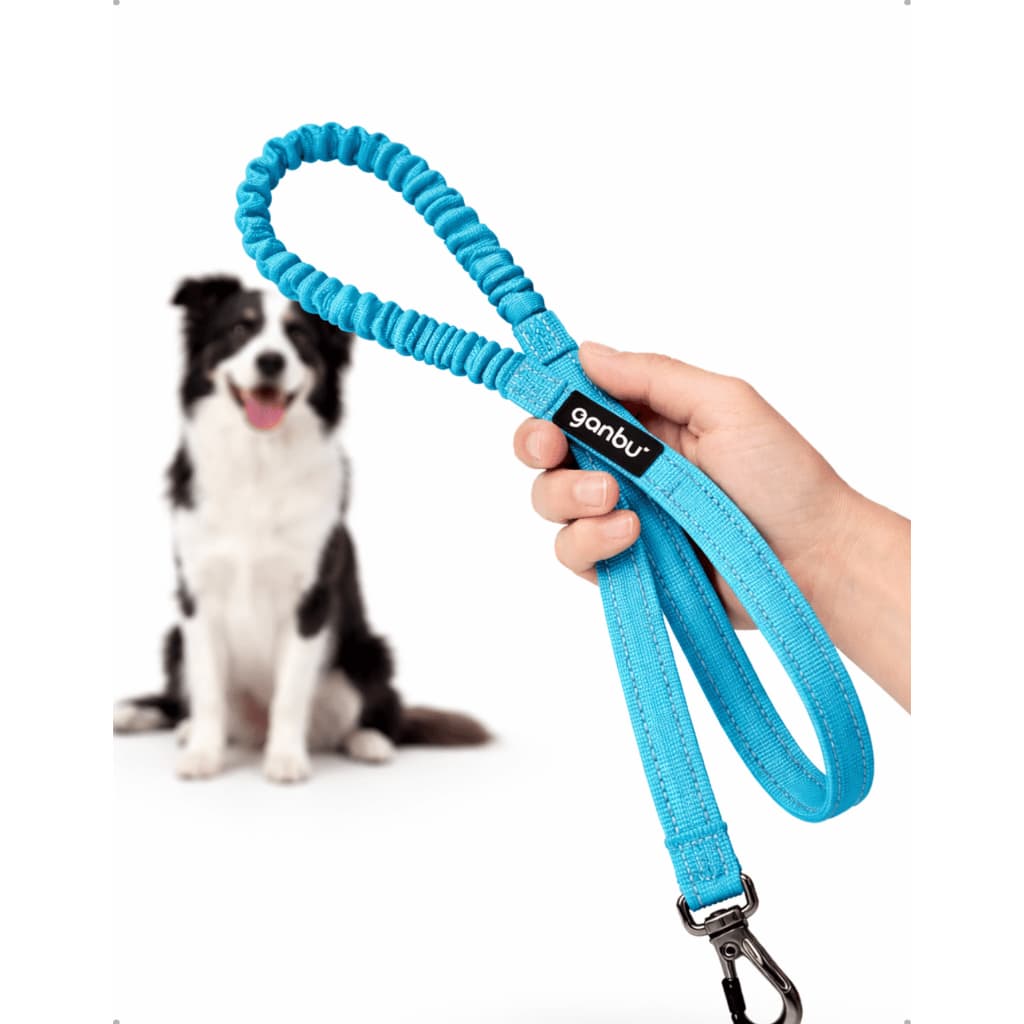 Guia Bungee Jump Azul Ganbu
