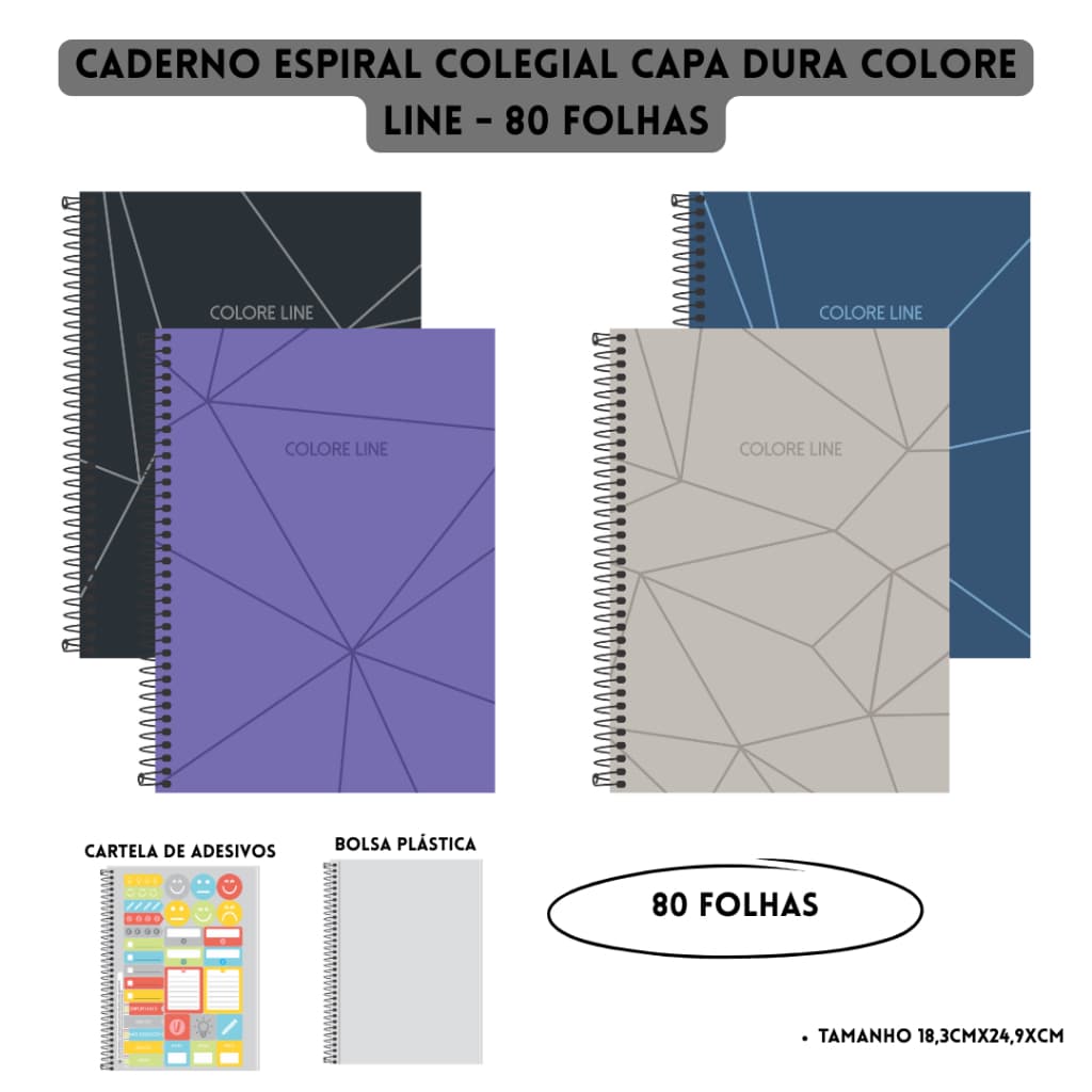 Caderno Espiral Colegial 80 Folhas Capa Dura com Adesivos e Bolsa Plástica Colore Line 3B Cadernos