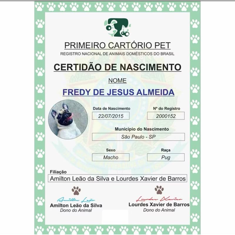 Certidão De Nascimento Pet Registro Pet Certidão Animal