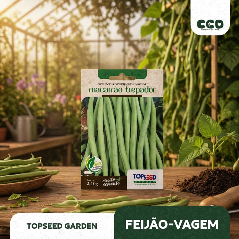 Semente Feijão-Vagem Topseed 2,1g para Horta em Vaso e Canteiro