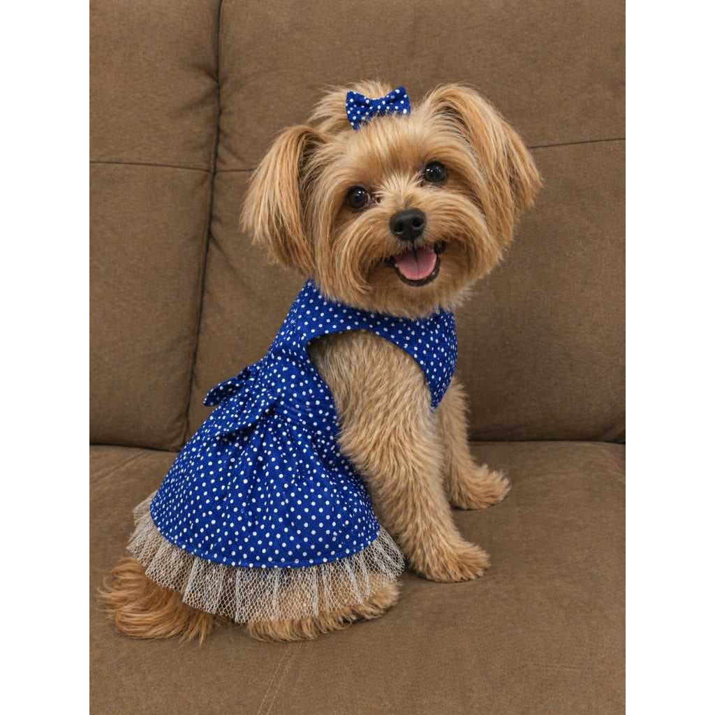 Vestido Pet Poá Azul com Renda e Laço com sup p/ guia - Tamanho P ao GG - Roupa para Cachorro Pequeno e Médio Porte