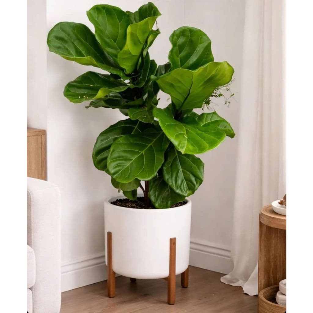 Vaso Para Plantas Decorativo Com Pé De Madeira 29x25x25 VASO PARA PLANTAS OU FLOR NORDICO, DECORAÇÃO