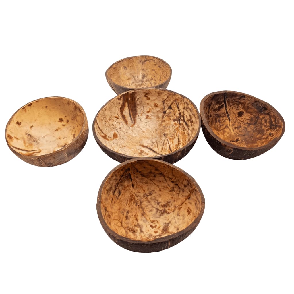 Coité De Coco Sem Base Kit C/ 5 Cuias De Baiano Umbanda