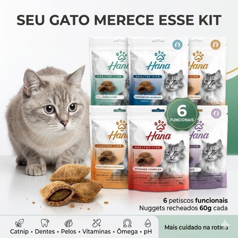 Petiscos Funcionais Hana para Gatos Sortidos 60g Cada | 6 unidades. Produtos Super Premium