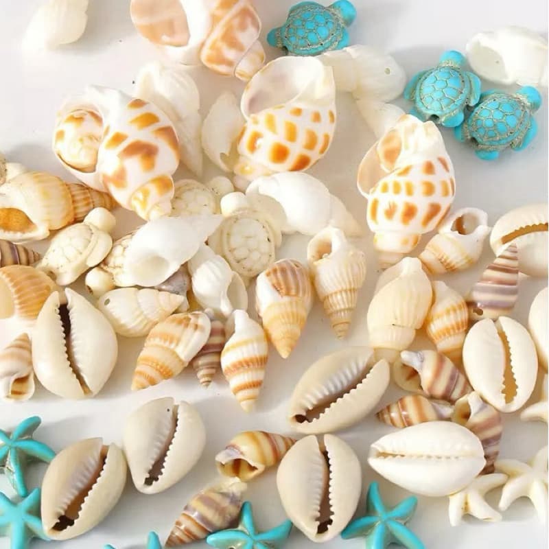 Kit 15 Mini-Conchas Sortidas Decorativas para Artesanato Resina,Velas Aromáticas,Sabonetes,Decoração Marítima e Praia