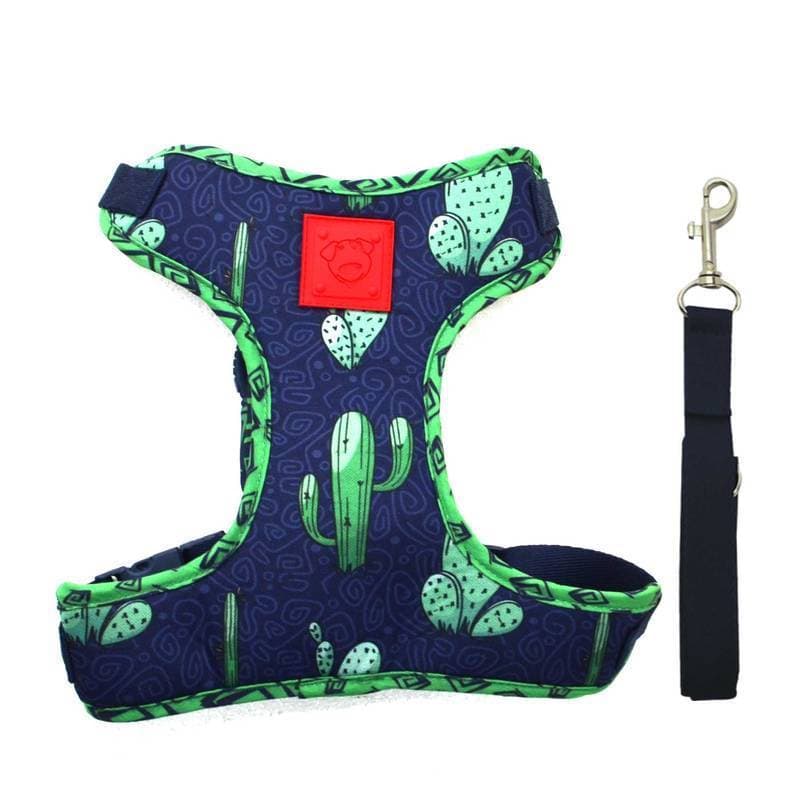 Peitoral para Cachorro Cactus Emporium Distripet | Peitoral Pet para Passeio, Caminhada e Controle do Cão