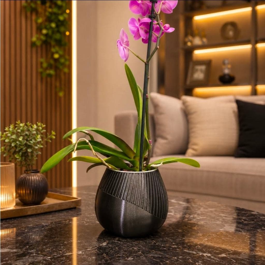 Vaso de Planta Decorativo Cachepot Moderno para Orquideas Flores Suculentas Sala Quarto e Escritorio