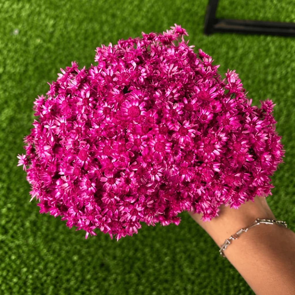 Flor Sempre Viva Pink Desidratada Buquê Aprox 200 Flores Para Decoração Festa Mesa Posta Arranjos