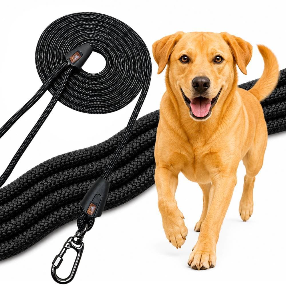 Facepet Guia Corda 2 Metros Resistente Mosquetão De Trava Trela Longa Passeios seguros para cachorro