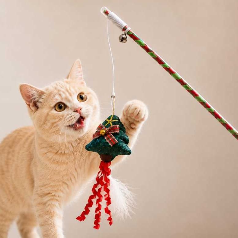 Varinha para Gatos - NatalINA com Cordão Elástico e Brinquedo Natalino