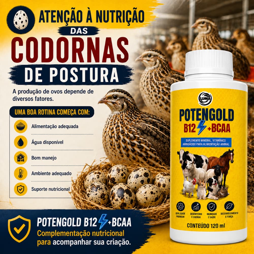 Potengold B12 + BCAA Vitaminas Para Codornas Postura e Corte Crescimento 120ml