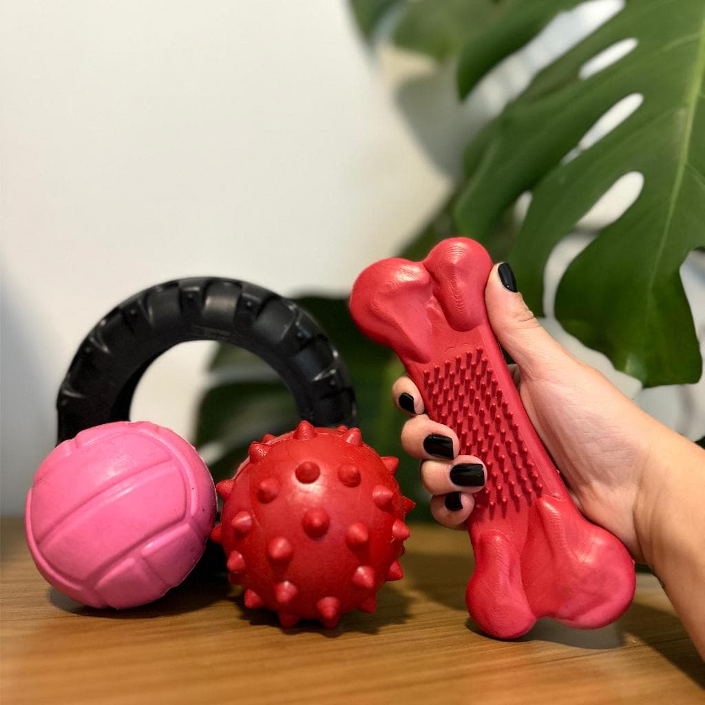 Kit 4 brinquedos para cachorros grandes, Bolinhas, Osso, Pneu Mordedor alta Resistencia, Atóxico